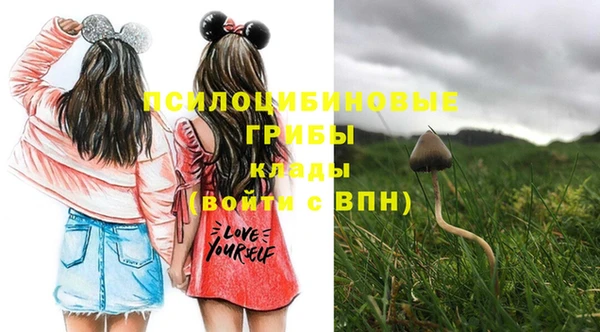 экстази Абинск