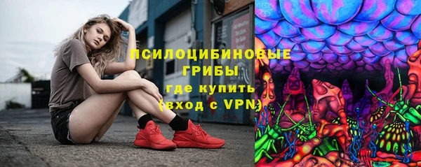 круглые Абаза