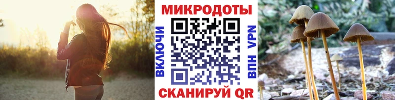 Псилоцибиновые грибы Psilocybine cubensis Шилка